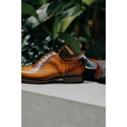 Patina Brogues Oxford - C22OF007G 5